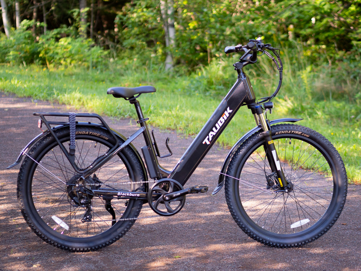 Electric Bicycles