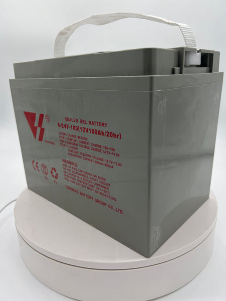 Tianneng 12V96Ah Sealed Lead Acid Battery Ecolo Connect Plus & Ecolo Cargo Truck