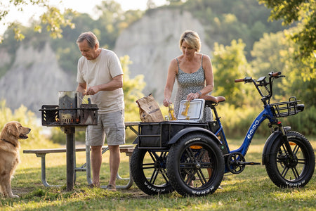 Emmo Trobic Pro E Trike Electric Tricycle