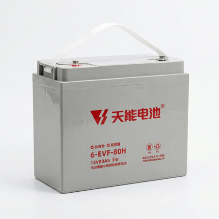 Tianneng 12V80Ah Sealed Lead Acid Battery | Evoque Enza