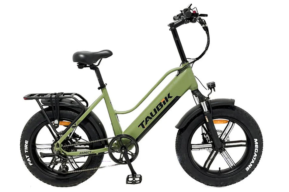 fat tyre electric bike