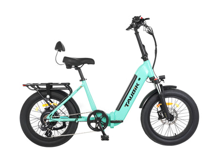affordable electric bikes