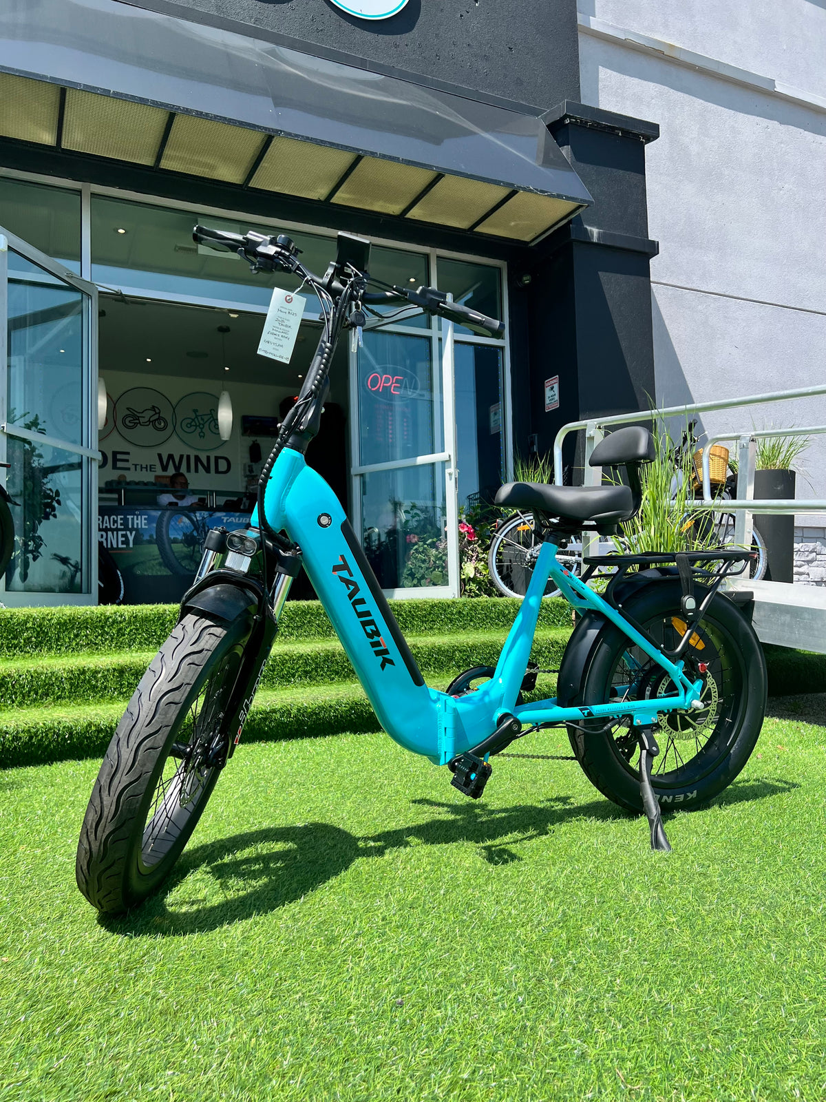 affordable electric bike
