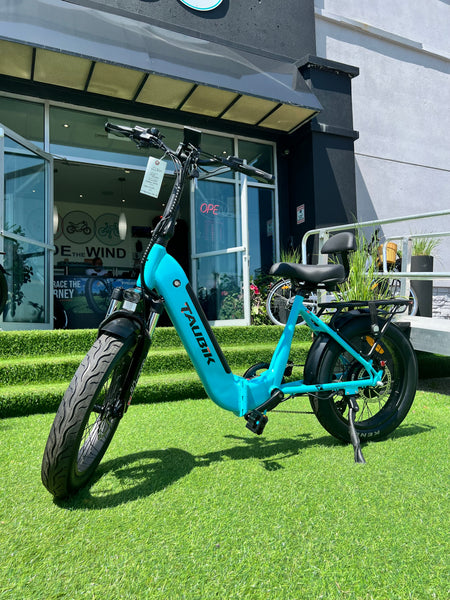 affordable electric bike