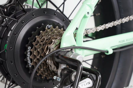 electric bicycles for adults