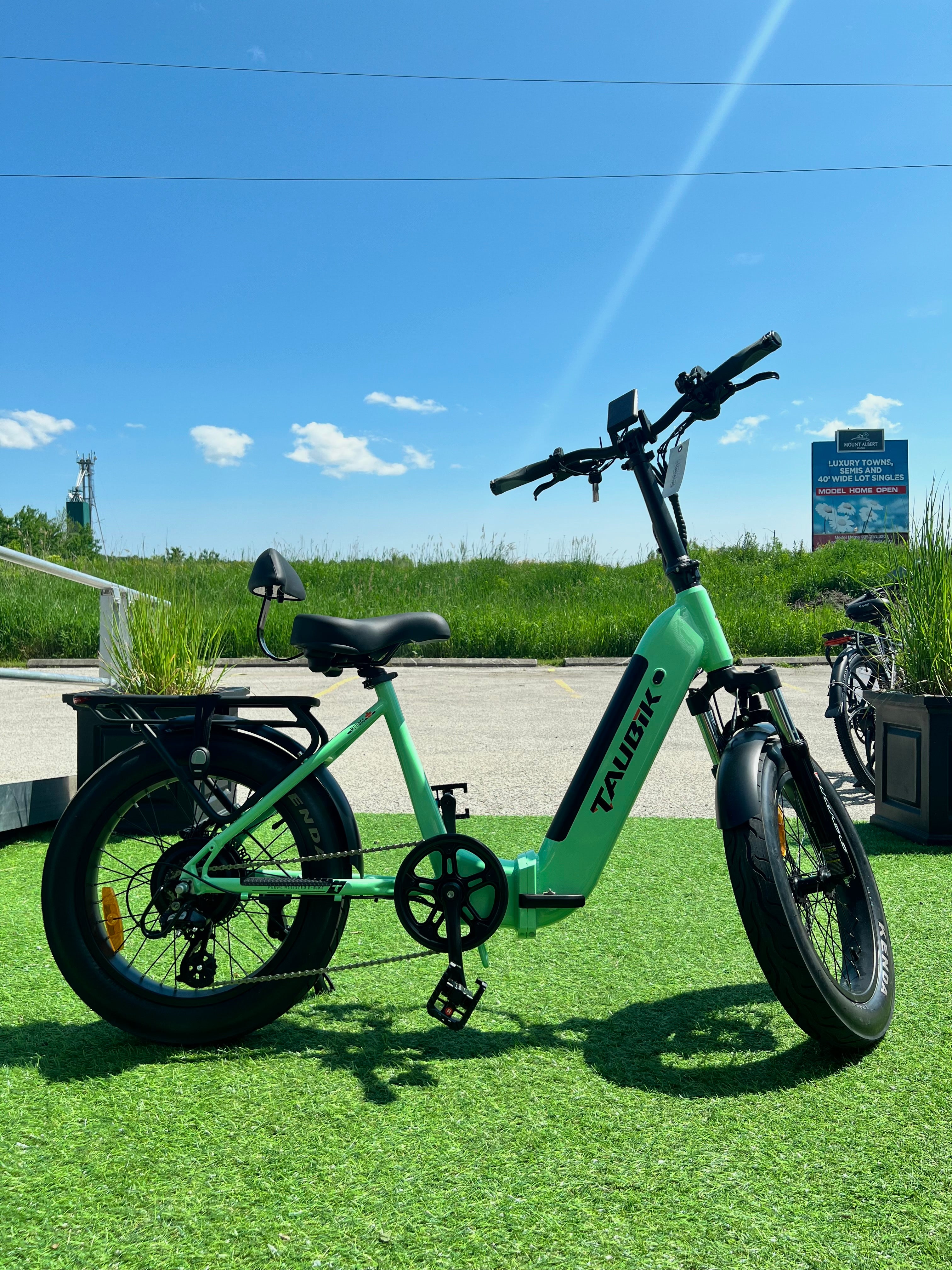 fat tire electric bike