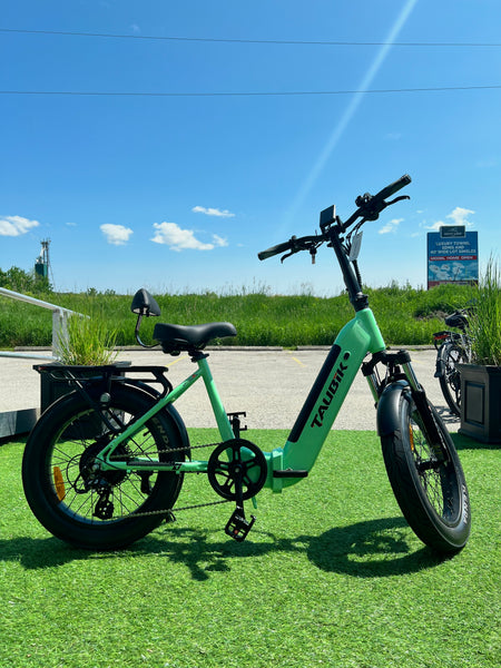 fat tire electric bike