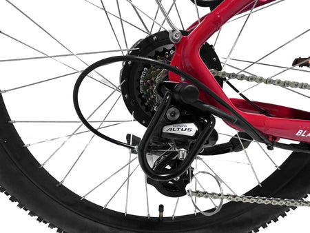 2024 Taubik Blackburn TL UL 2849 APPROVED Ebike Electric Bicycle Step Thru