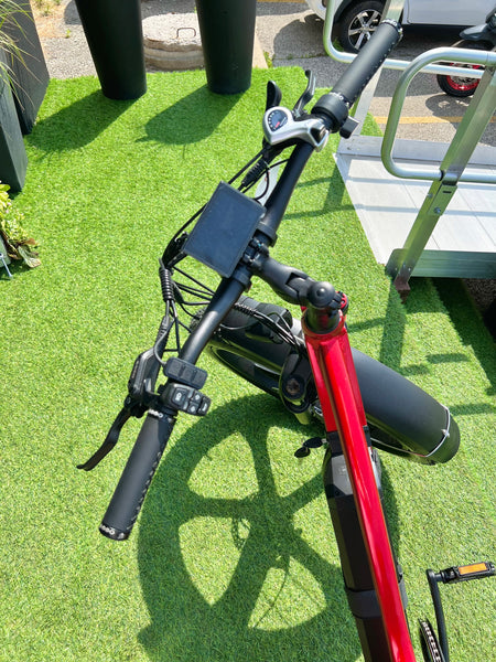 2025 Emmo EWild Pro All Terrain Fat Tire Ebike