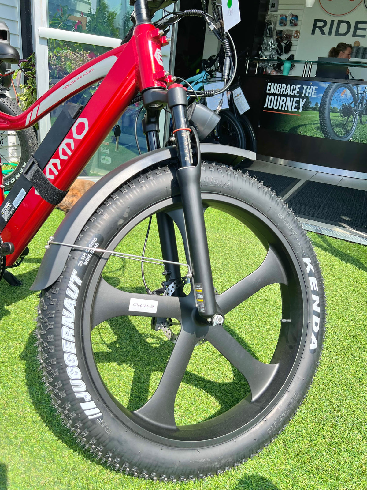 2025 Emmo EWild Pro All Terrain Fat Tire Ebike