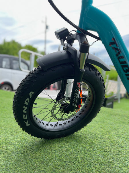 2025 Taubik Escape Ebike Electric Bicycle Foldable Style 20" Fat Tires UL 2849