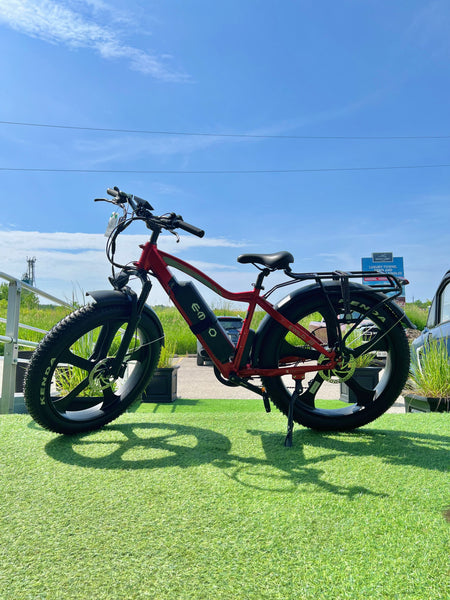 2025 Emmo EWild Pro All Terrain Fat Tire Ebike