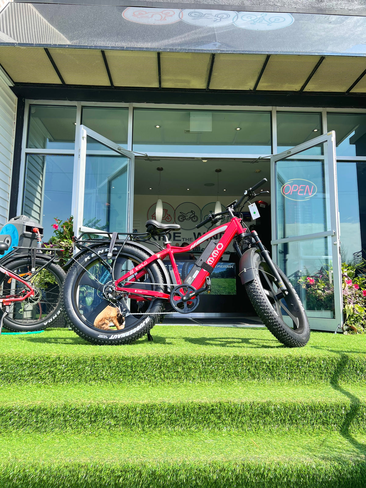 2025 Emmo EWild Pro All Terrain Fat Tire Ebike