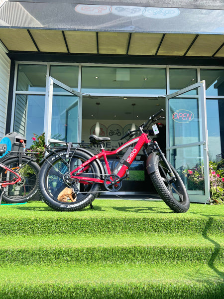 2025 Emmo EWild Pro All Terrain Fat Tire Ebike
