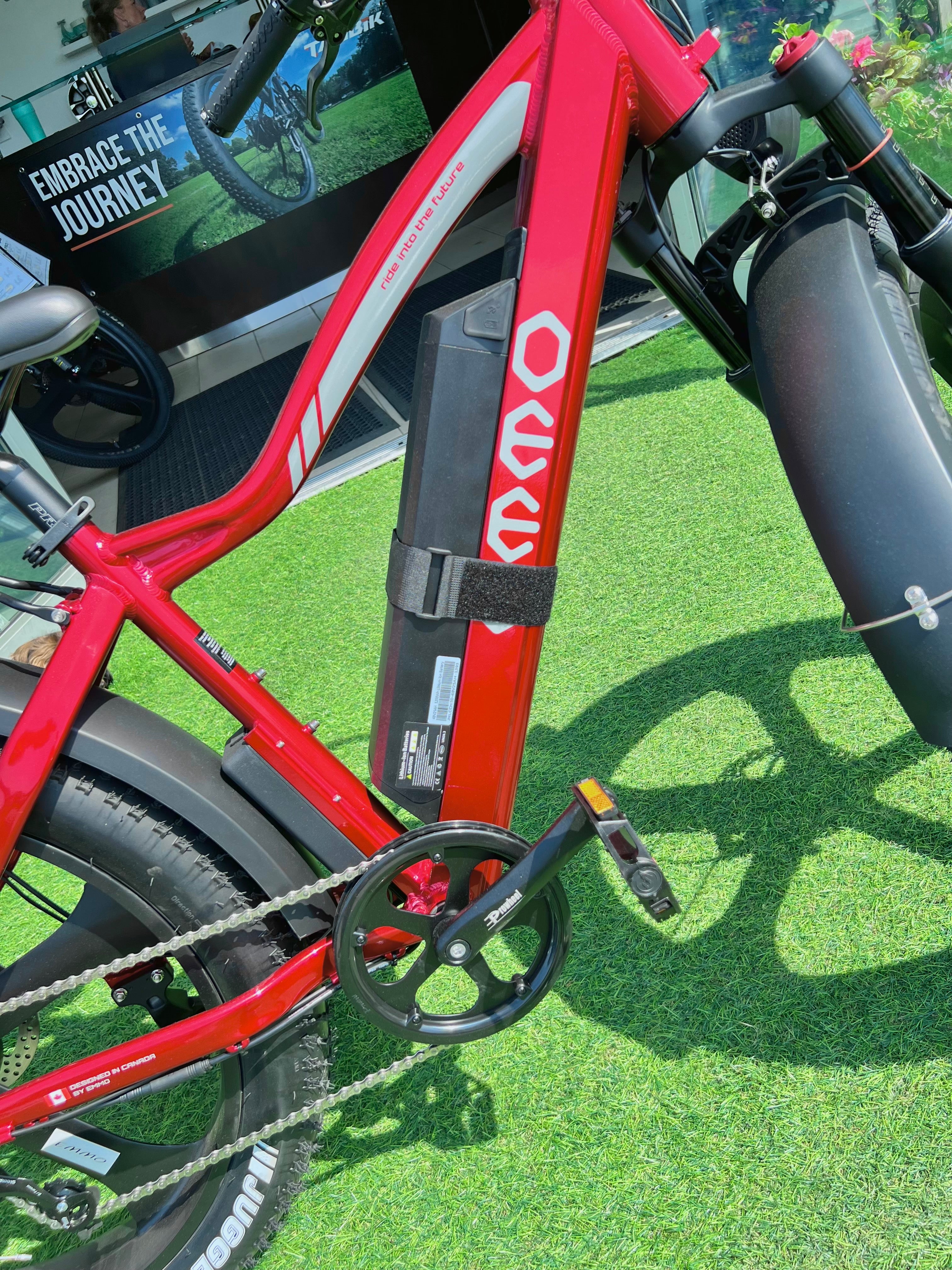 2025 Emmo EWild Pro All Terrain Fat Tire Ebike