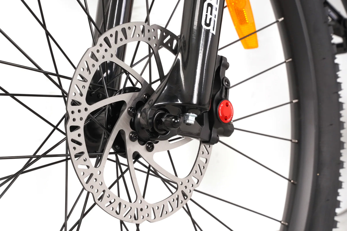 2026 Taubik Westridge 29T Ebike Mountain Style UL2849 Certified Torque