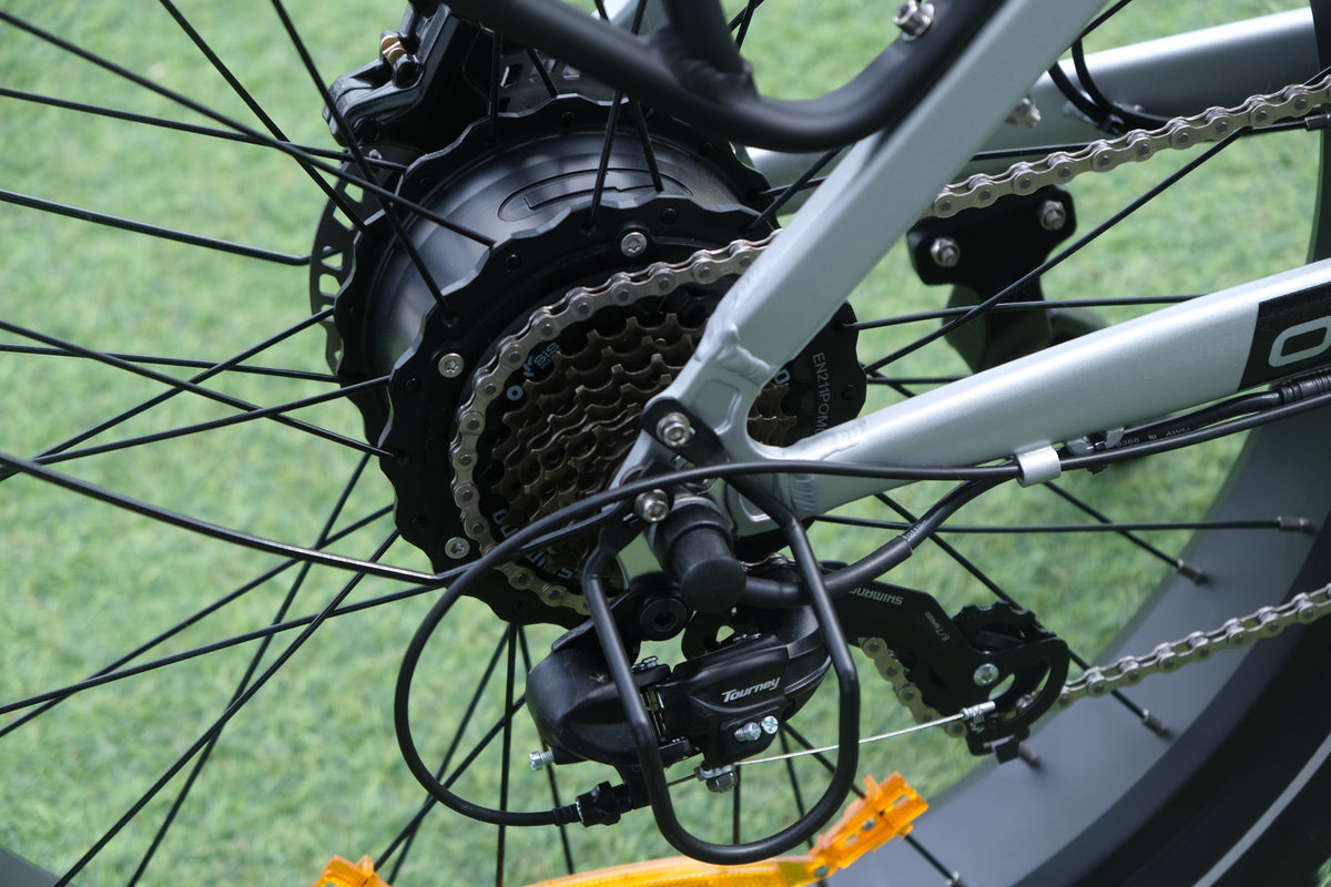 Oiios Powa All Terrain Fat Tire Ebike