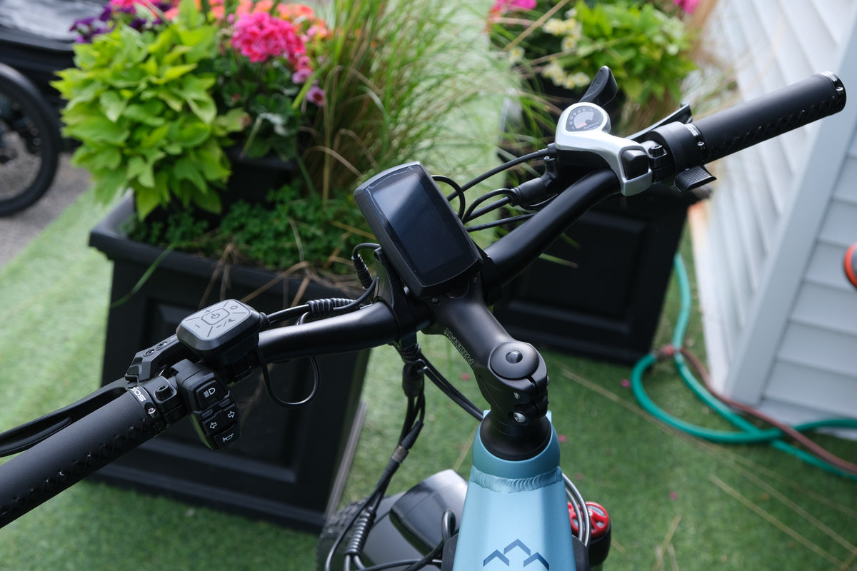 Oiios Dyno Step-Thru Fat Tire Electric Bike