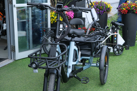 Spirit E-Trike T1S Teslica