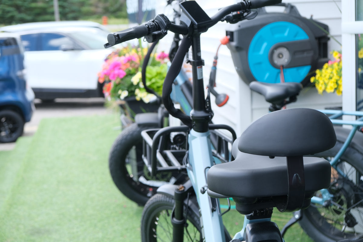 Spirit E-Trike T1S Teslica