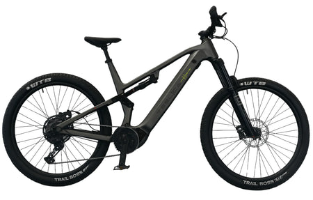 Teslica Triumph Mountain E-Bike E1H