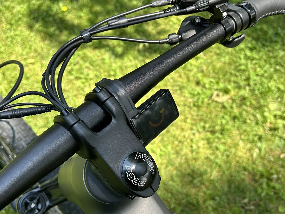 Teslica Triumph Mountain E-Bike E1H