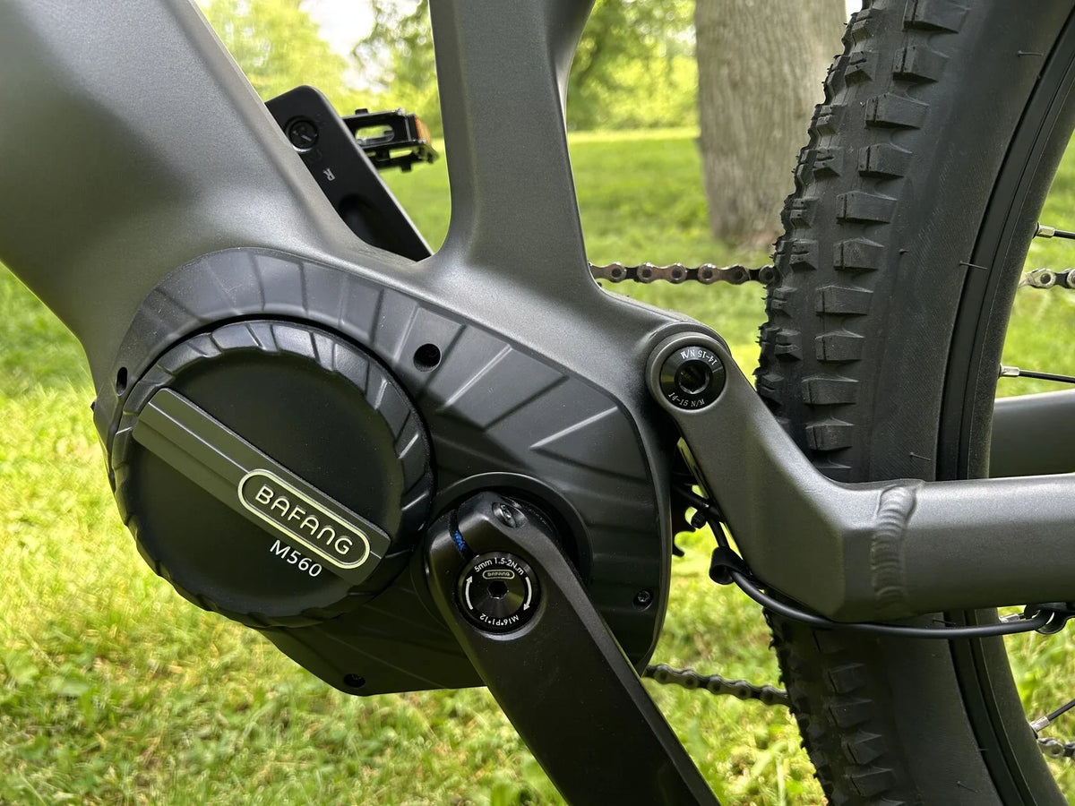 Teslica Triumph Mountain E-Bike E1H