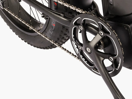 Teslica Ambition Fat Tire Elite Step-Thru E-Bike F27e