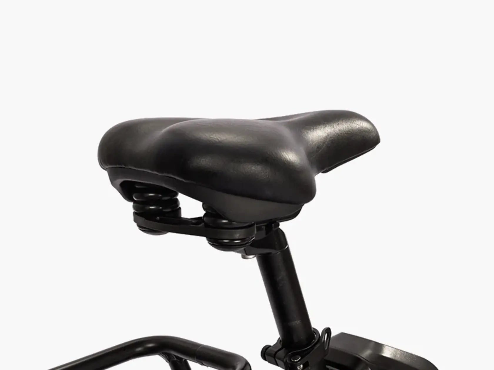 Teslica Ambition Fat Tire Elite Step-Thru E-Bike F27e