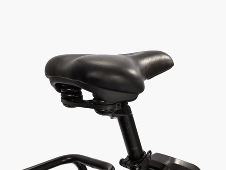 Teslica Ambition Fat Tire Elite Step-Thru E-Bike F27e