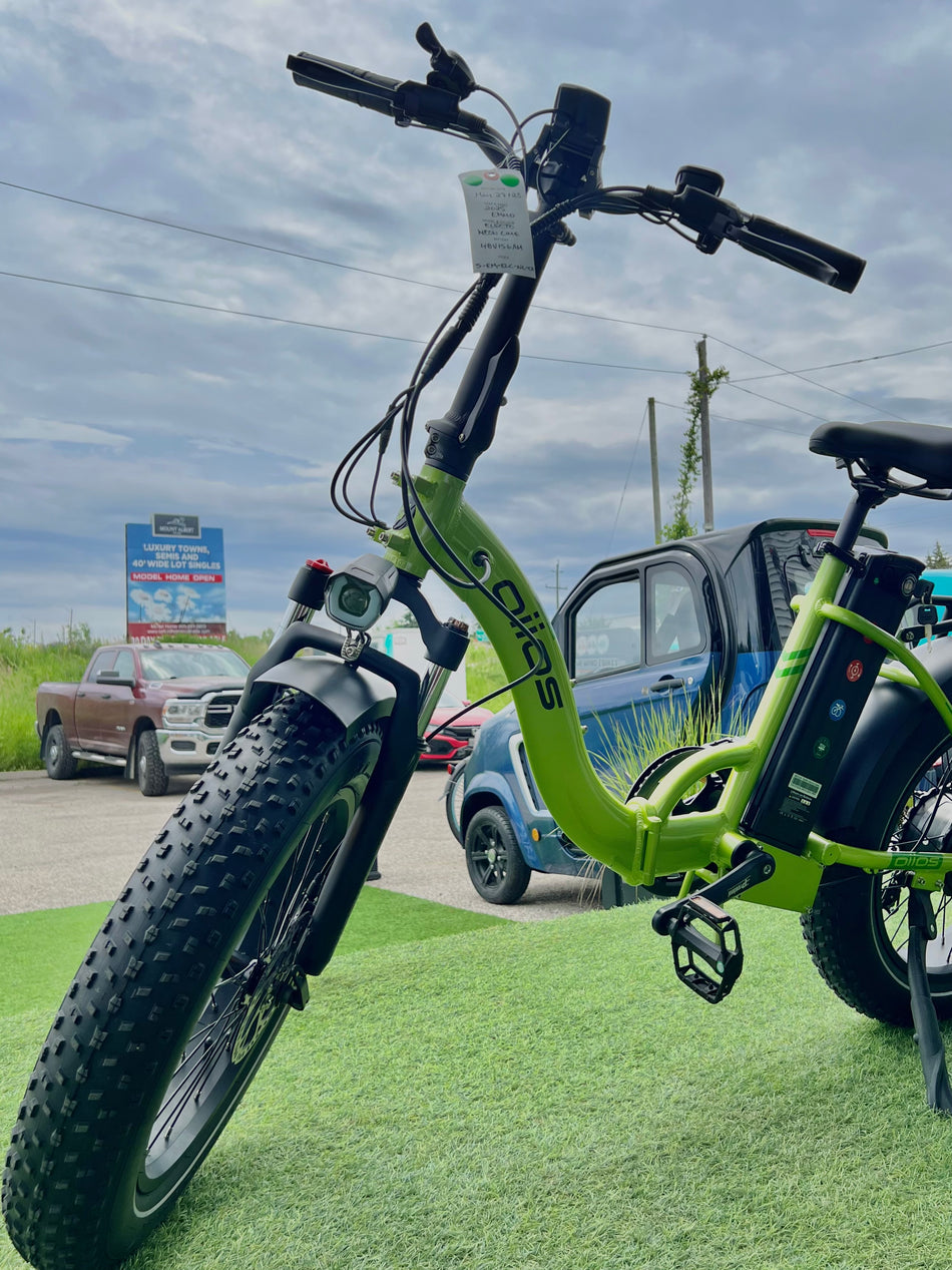 Oiios Electo 20" Foldable Fat Tire Ebike