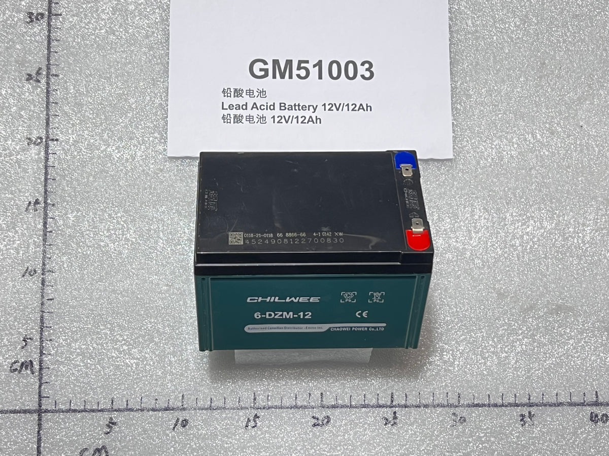 Lead Acid Battery 12V/12Ah for Emmo Urban