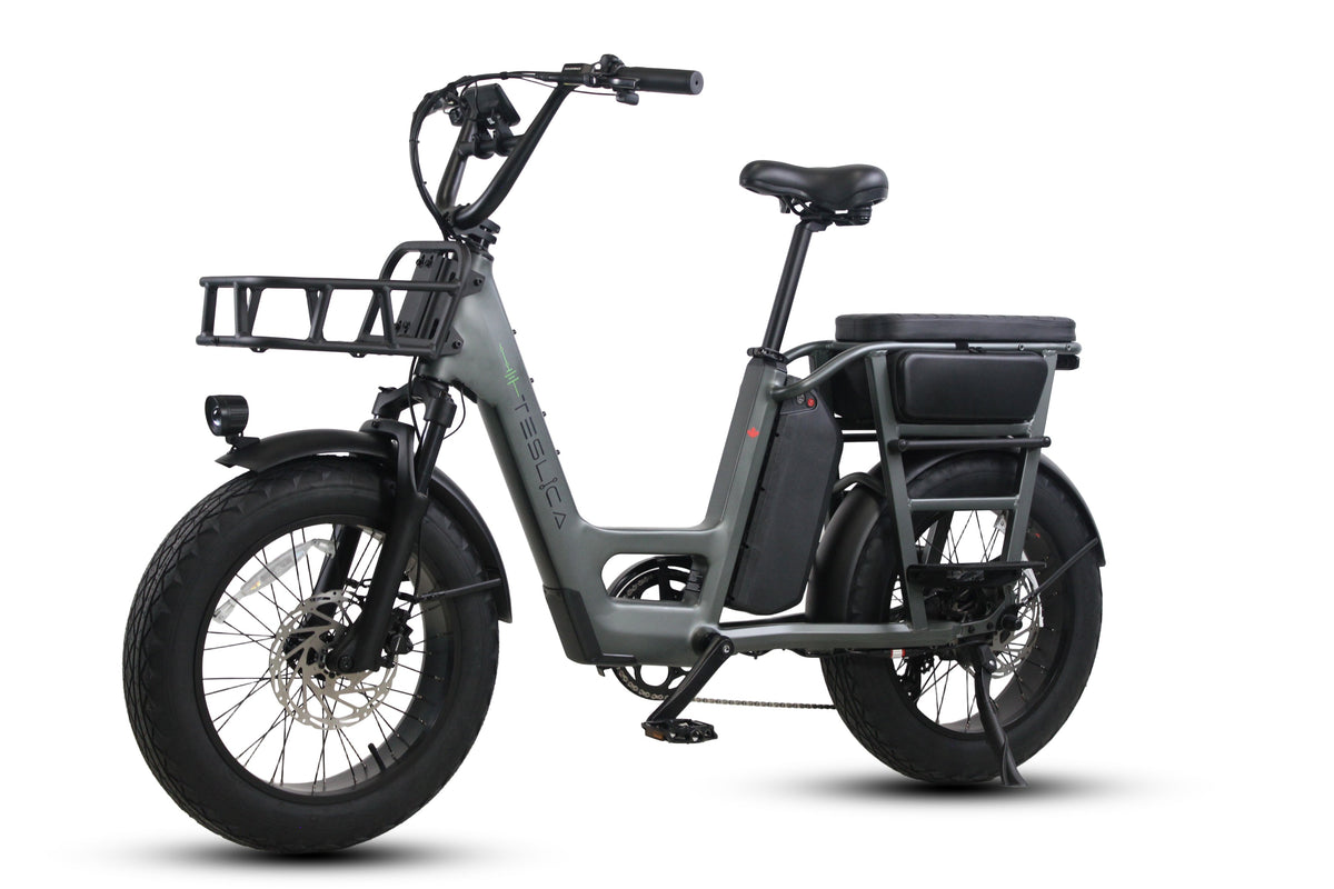 Care-Go Cargo Ebike CG2 20 Ah