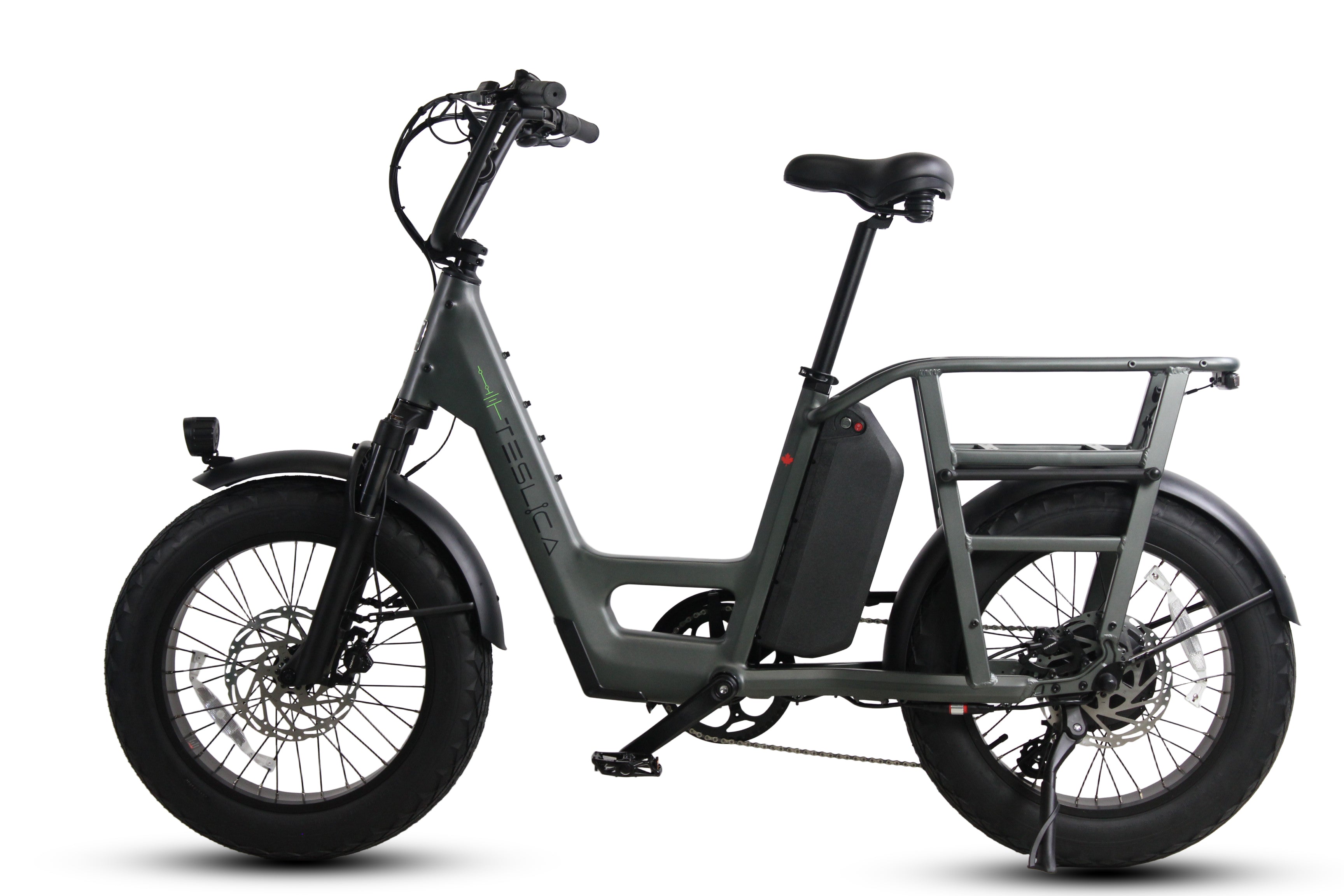 Care-Go Cargo Ebike CG2 20 Ah