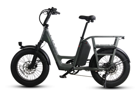 Care-Go Cargo Ebike CG2 20 Ah