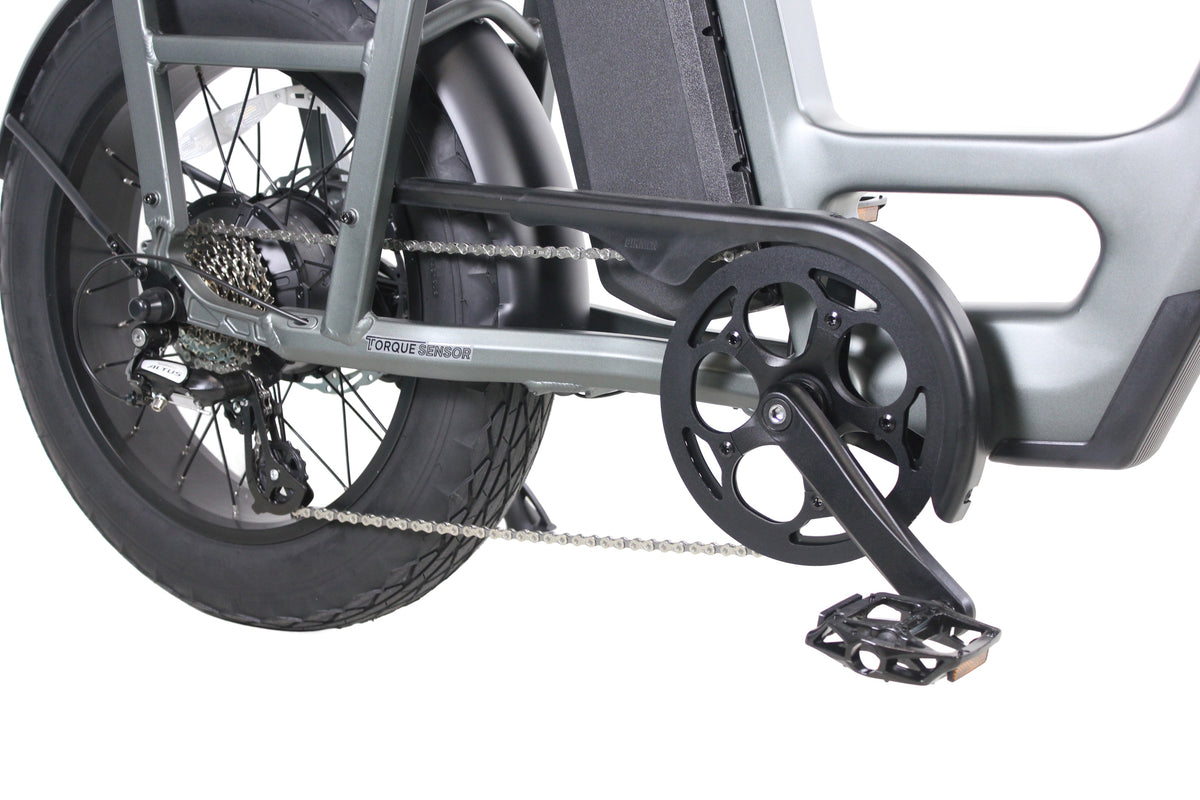 Care-Go Cargo Ebike CG2 20 Ah
