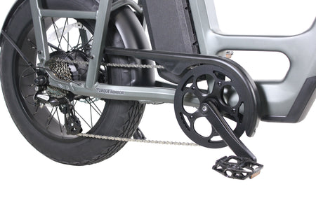 Care-Go Cargo Ebike CG2 20 Ah