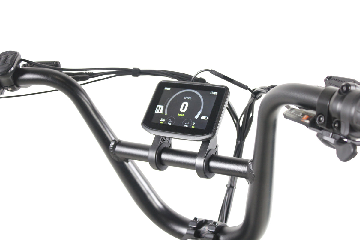 Care-Go Cargo Ebike CG2 20 Ah