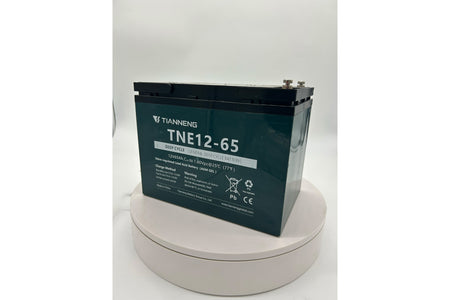 Tianneng 12V65Ah Lead Acid Battery