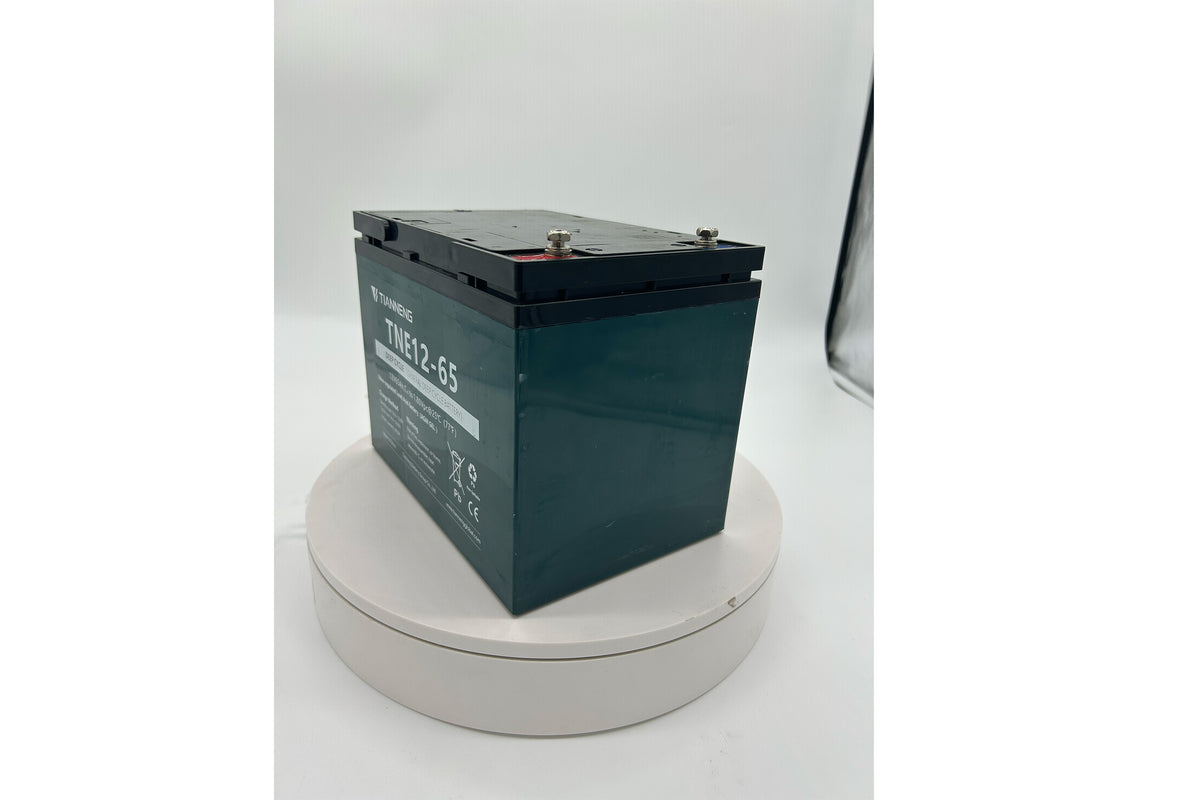 Tianneng 12V65Ah Lead Acid Battery