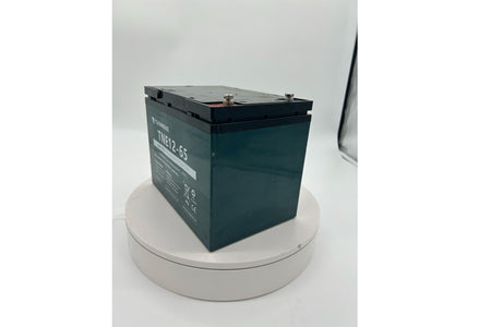 Tianneng 12V65Ah Lead Acid Battery