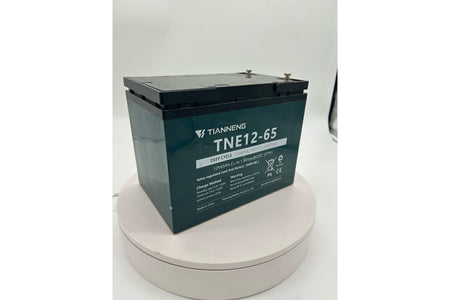 Tianneng 12V65Ah Lead Acid Battery