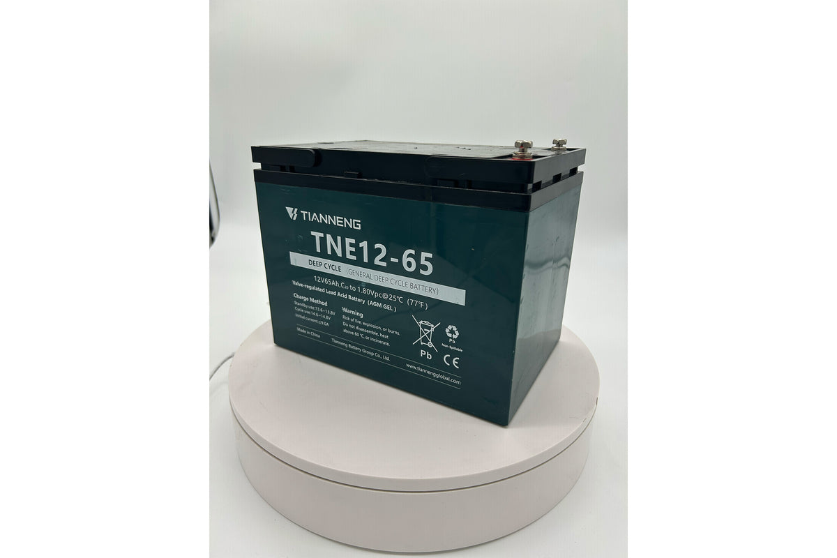 Tianneng 12V65Ah Lead Acid Battery