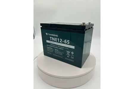 Tianneng 12V65Ah Lead Acid Battery
