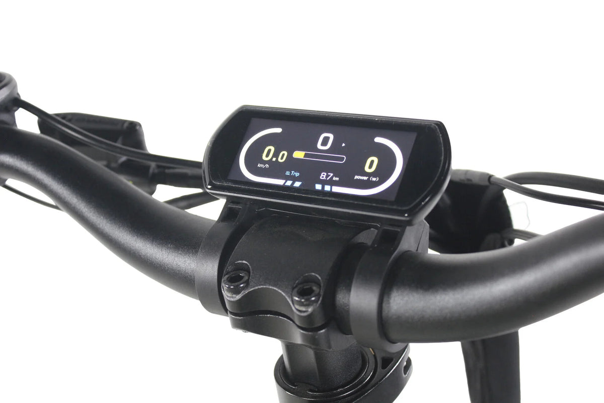 Care-Go Cargo Long-Tail 500W (CG3) | Electric Bicycle