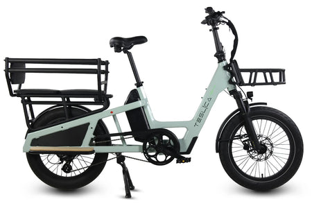 Care-Go Cargo Long-Tail 500W (CG3) | Electric Bicycle