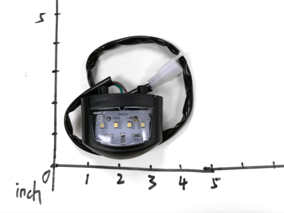 Emmo Zone GTS/Max - License Light Assembly