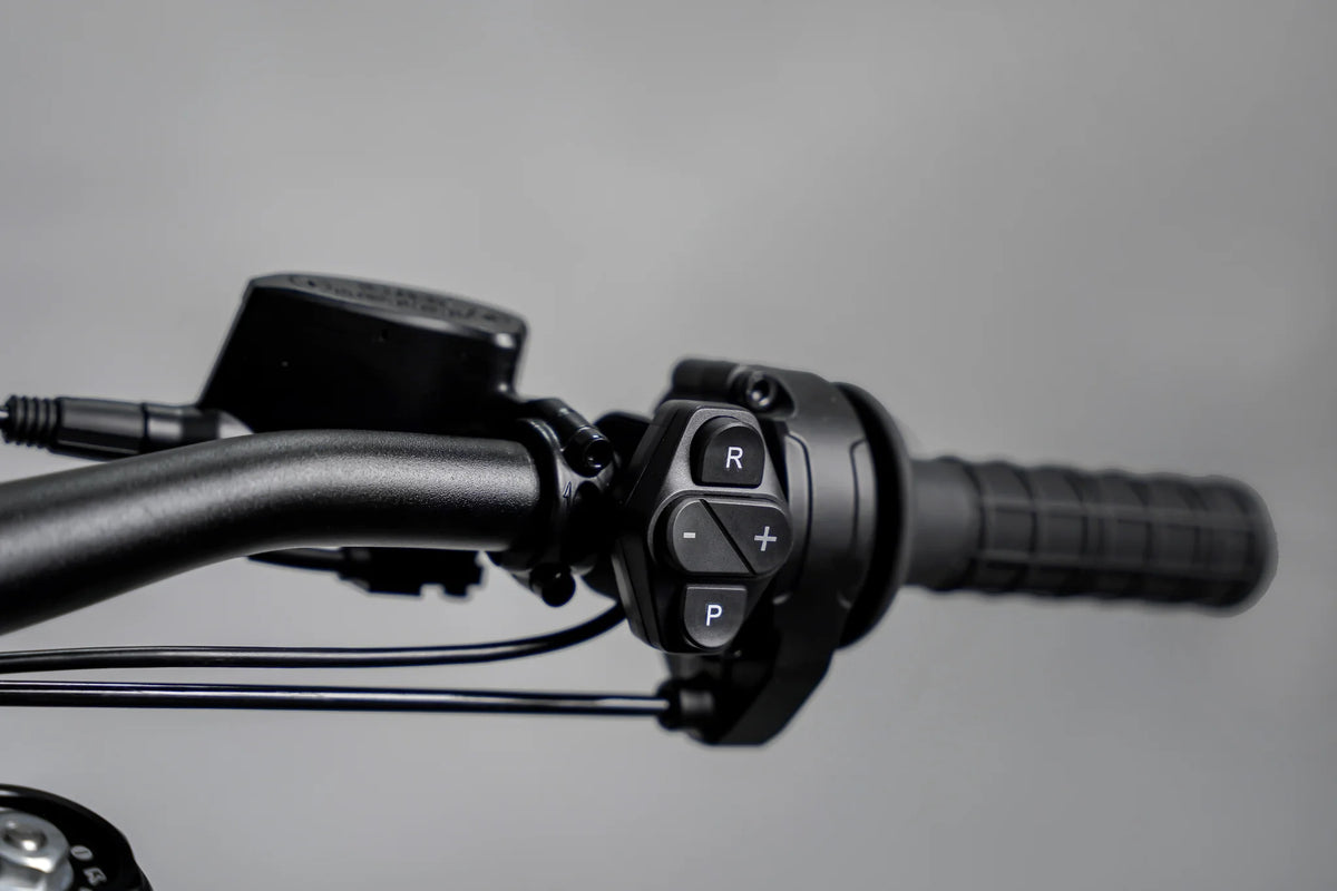 Evoque Raider | Electric Dirt Bike