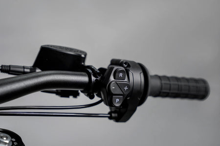 Evoque Raider | Electric Dirt Bike
