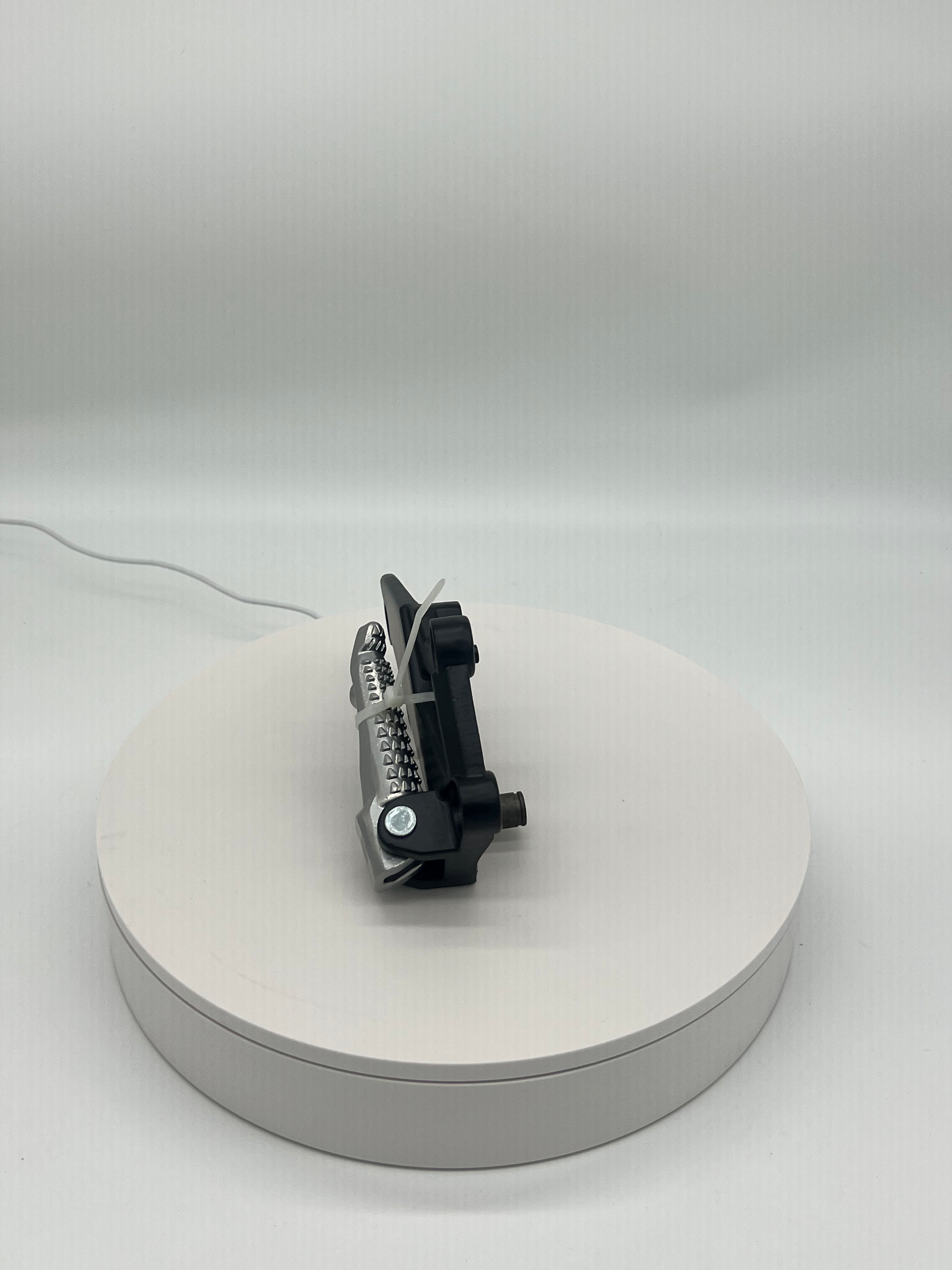 Tao Leo & Evoque Streetster Pegs